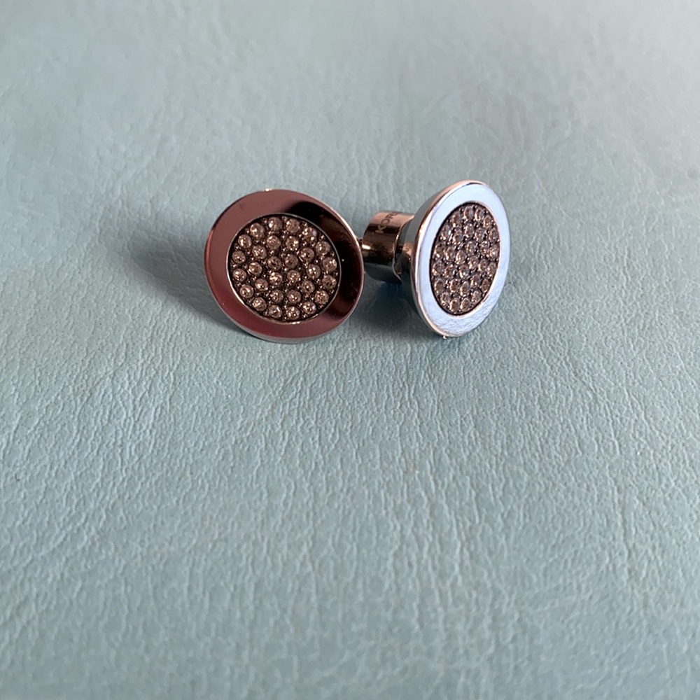 Michael Kors Silver Earrings